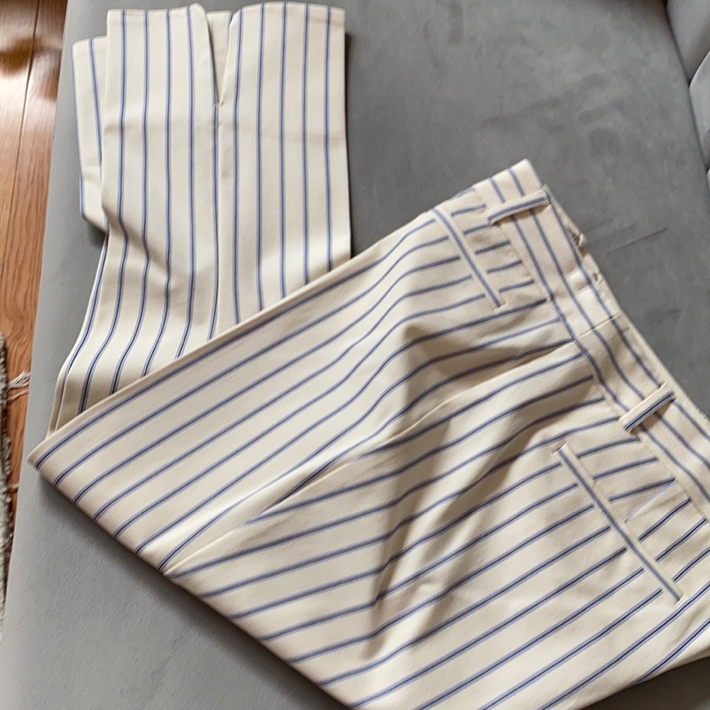 Anthro The Essential slim cropped pants